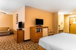 Hotel Quality Inn & Suites Chesterfield Village