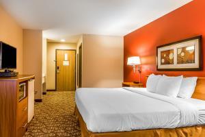 Hotel Quality Inn & Suites Chesterfield Village