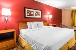 Hotel Quality Inn & Suites Chesterfield Village