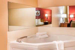 Hotel Quality Inn & Suites Chesterfield Village