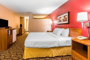 Hotel Quality Inn & Suites Chesterfield Village