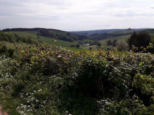 Quaint Pet-friendly Apartment In Neustrassburg
