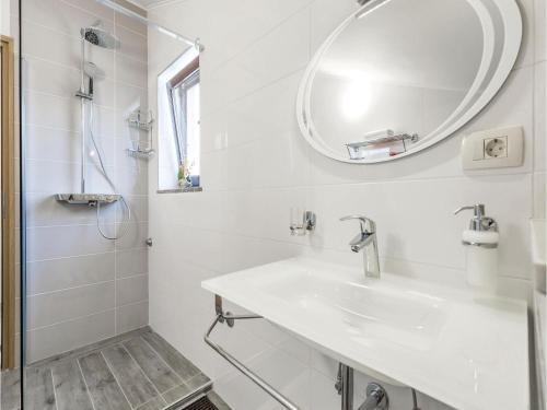 Five-bedroom Apartment Viskovo 05