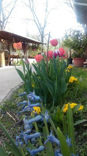 Agroturismo Farm Stay Lackovic
