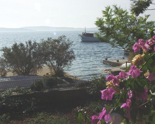 Apartment Brodarica 961a