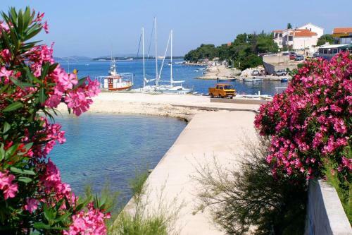 Apartments By The Sea Brodarica (sibenik) - 6479