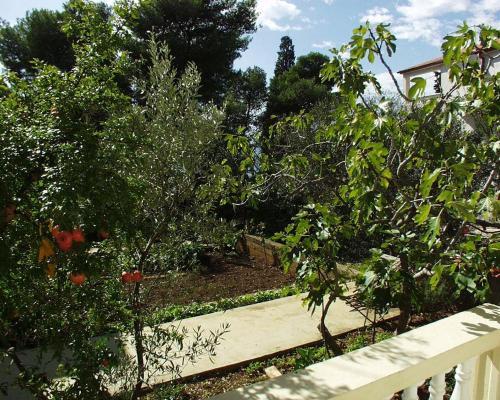 Apartments By The Sea Brodarica (sibenik) - 919