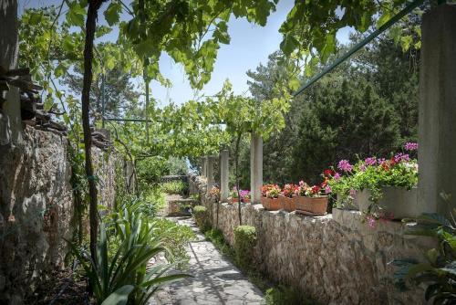 Apartments By The Sea Zavala (hvar) - 2061