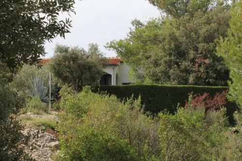 Apartment Zdrelac 8514a