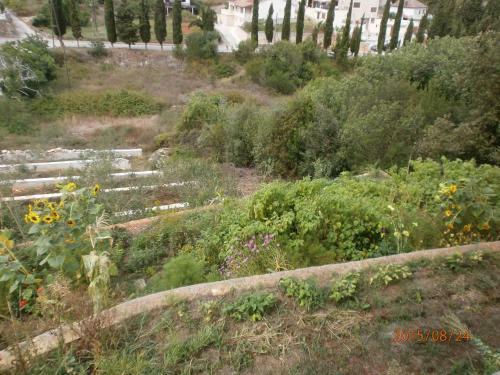 Apartamento Holiday Home Slanac