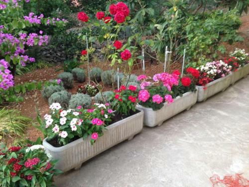 Apartment Zman 12879b