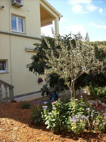 Apartment Zman 12879b