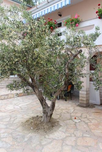 Apartment Zubovici 6356f