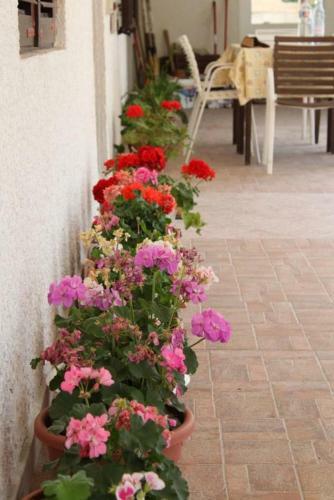 Apartment Metajna 6466c