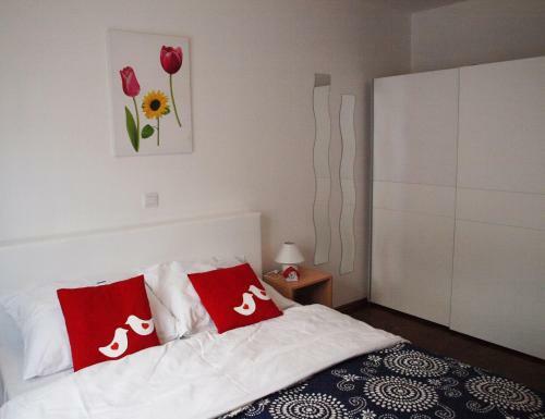 Apartments Nova