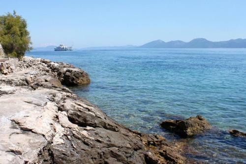 Apartments By The Sea Sucuraj (Hvar) - 578