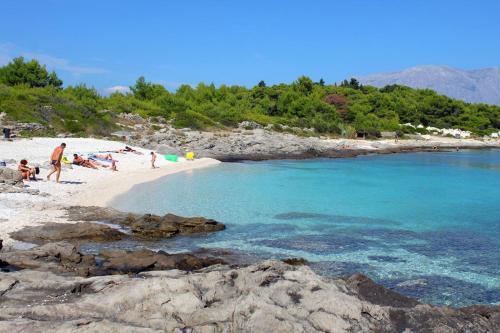 Apartments By The Sea Sumartin (brac) - 12036