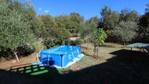 Apartment In Marsici/insel Krk 13109
