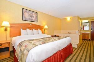 Hotel Best Western Rochester Marketplace Inn