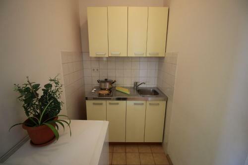 Apartments Marko
