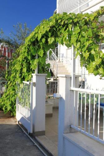 Apartment Mavarstica 8685b
