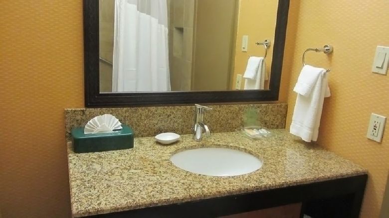 Hotel Holiday Inn Houston Intercontinental Arpt