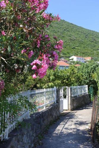 Apartments With A Parking Space Trpanj (peljesac) - 10148