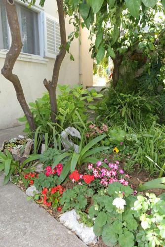 Apartments With A Parking Space Trpanj (peljesac) - 10111