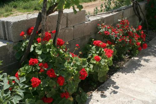 Apartment Trpanj 4510b