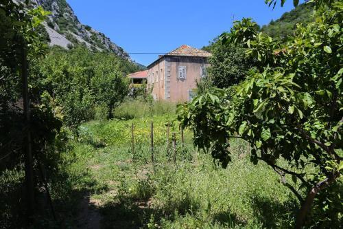 Apartamentos Studio Trstenik 4567b