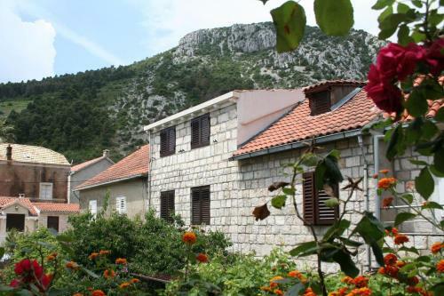 Apartamentos Studio Trstenik 4567b