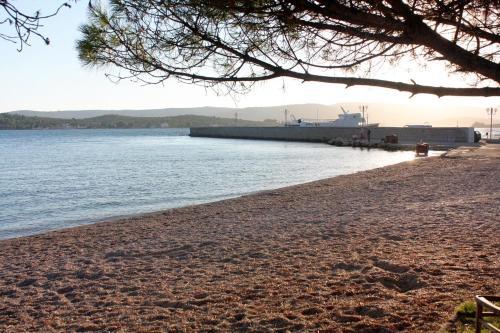 Apartments With A Parking Space Turanj (biograd) - 6212