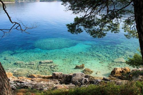 Apartamentos Studio Ubli 8354a