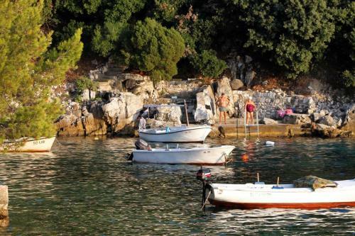Apartments By The Sea Ubli (Lastovo) - 8355