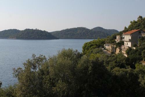 Apartments By The Sea Ubli (Lastovo) - 8355
