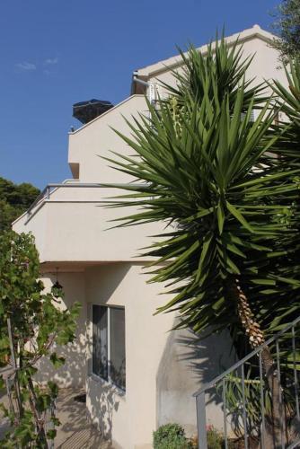 Apartments By The Sea Ubli (Lastovo) - 8355