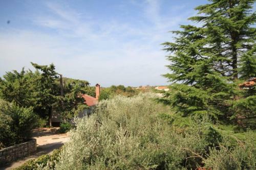 Apartment Ugljan 8241d