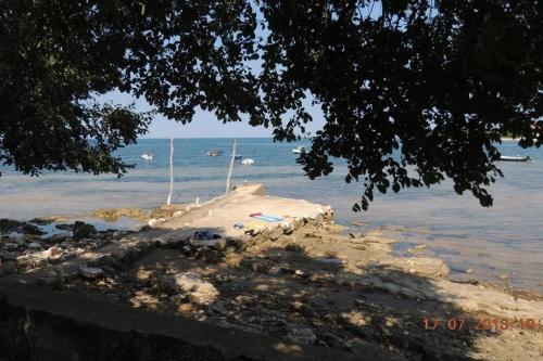 Apartamento House Umag (4222)