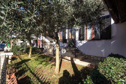 Jasna House With Apartment