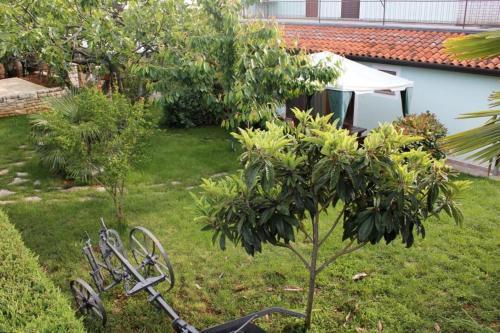 Apartment Umag 7735c
