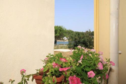 Apartment Veli Rat 437c