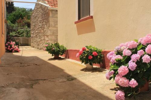 Apartment Veli Rat 437c