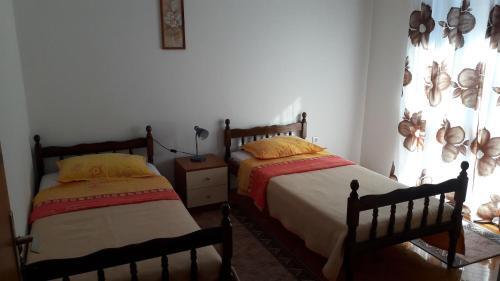 Apartment Branka