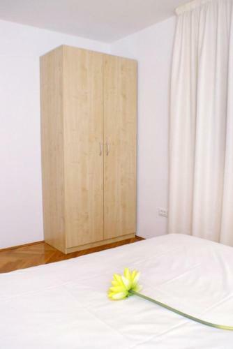 Apartment Vinjerac 3093g
