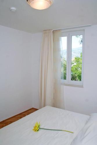 Apartment Vinjerac 3093h