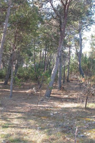 Apartment Vir 12707b