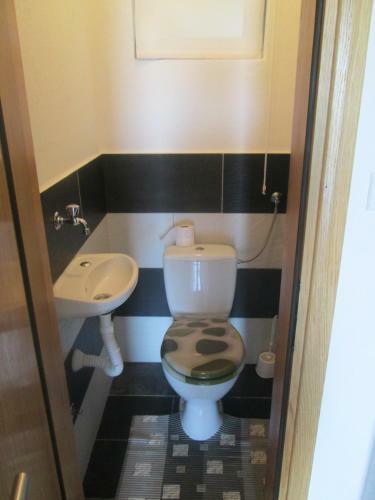 Apartments Dragi?evi?