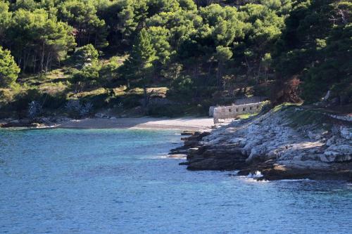 Apartments By The Sea Vis - 13736