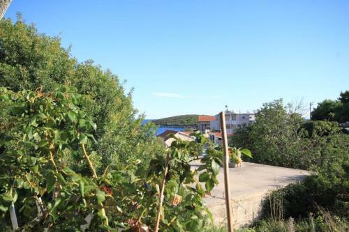Apartments By The Sea Rukavac (vis) - 8893