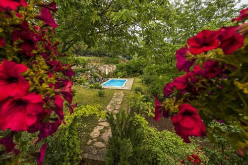 Villa Katarina&luka With Beautiful Garden And Pool